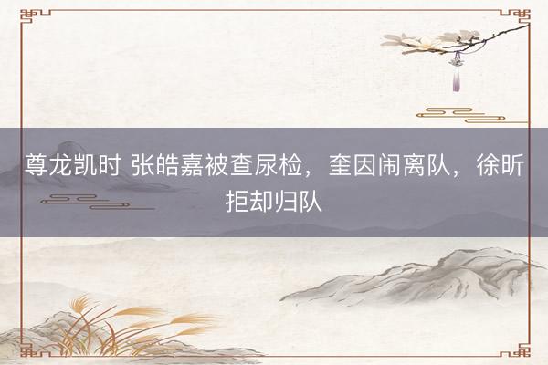尊龙凯时 张皓嘉被查尿检，奎因闹离队，徐昕拒却归队