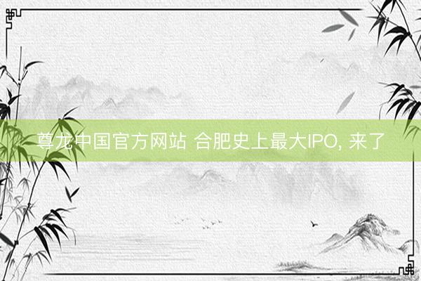 尊龙中国官方网站 合肥史上最大IPO， 来了