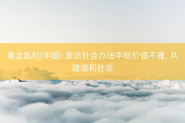 尊龙凯时(中国) 发达社会办法中枢价值不雅， 共建谐和社会