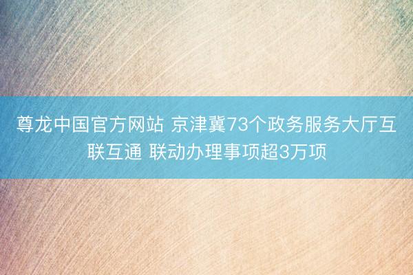 尊龙中国官方网站 京津冀73个政务服务大厅互联互通 联动办理事项超3万项