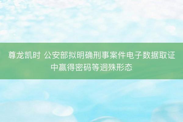 尊龙凯时 公安部拟明确刑事案件电子数据取证中赢得密码等迥殊形态