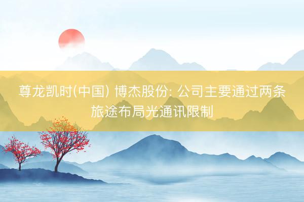 尊龙凯时(中国) 博杰股份: 公司主要通过两条旅途布局光通讯限制
