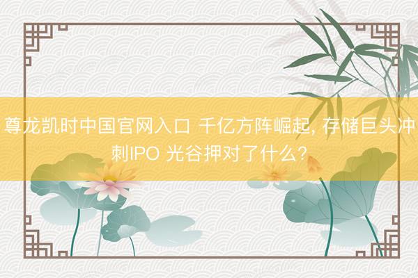 尊龙凯时中国官网入口 千亿方阵崛起， 存储巨头冲刺IPO 光谷押对了什么?