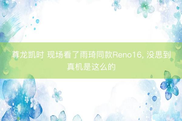 尊龙凯时 现场看了雨琦同款Reno16, 没思到真机是这么的