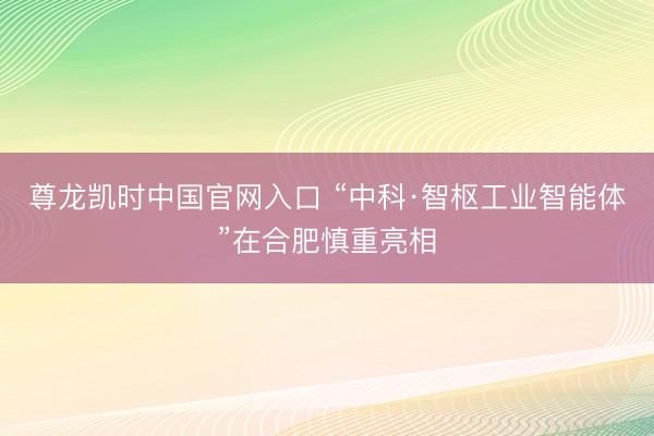 尊龙凯时中国官网入口 “中科·智枢工业智能体”在合肥慎重亮相