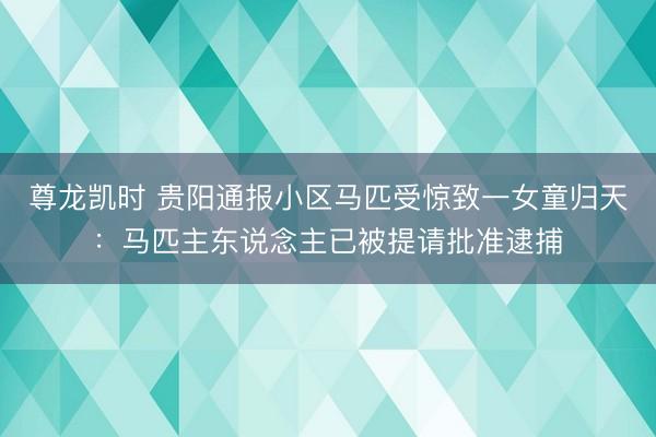 尊龙凯时 贵阳通报小区马匹受惊致一女童归天：马匹主东说念主已被提请批准逮捕
