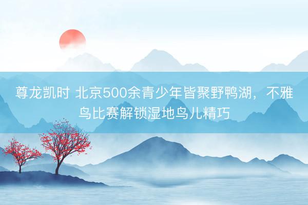 尊龙凯时 北京500余青少年皆聚野鸭湖，不雅鸟比赛解锁湿地鸟儿精巧