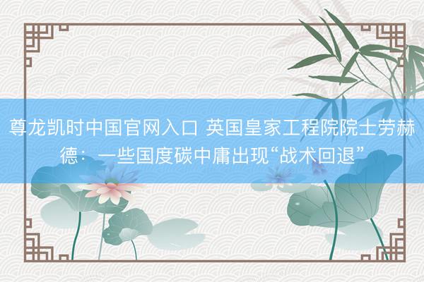 尊龙凯时中国官网入口 英国皇家工程院院士劳赫德：一些国度碳中庸出现“战术回退”