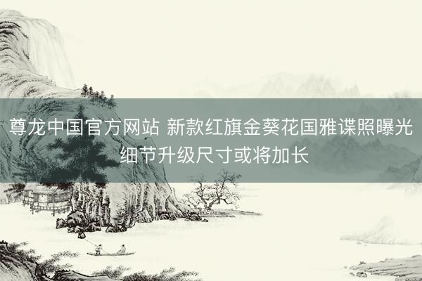 尊龙中国官方网站 新款红旗金葵花国雅谍照曝光 细节升级尺寸或将加长