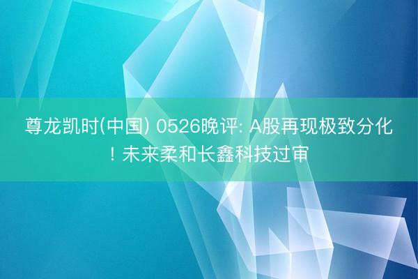 尊龙凯时(中国) 0526晚评: A股再现极致分化! 未来柔和长鑫科技过审