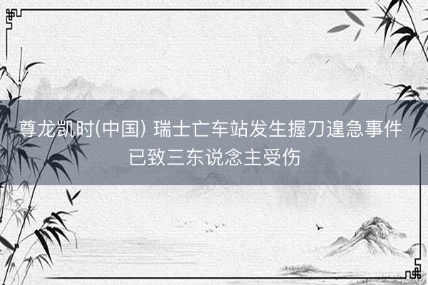 尊龙凯时(中国) 瑞士亡车站发生握刀遑急事件 已致三东说念主受伤