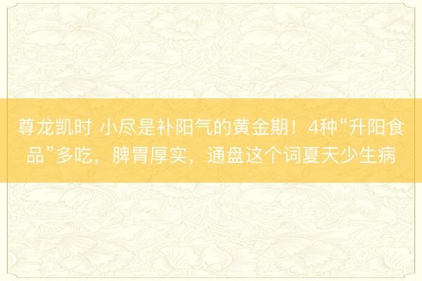 尊龙凯时 小尽是补阳气的黄金期！4种“升阳食品”多吃，脾胃厚实，通盘这个词夏天少生病