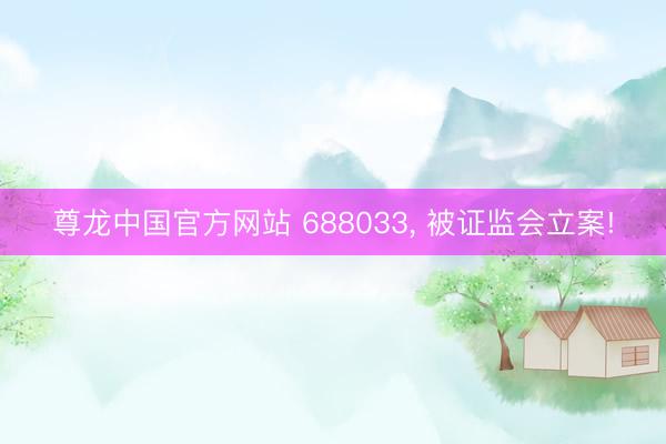 尊龙中国官方网站 688033， 被证监会立案!