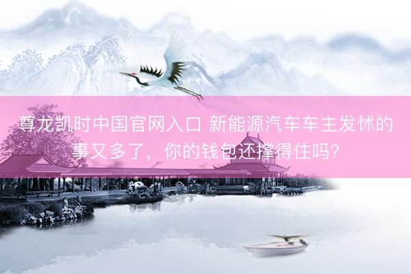 尊龙凯时中国官网入口 新能源汽车车主发怵的事又多了，你的钱包还撑得住吗？