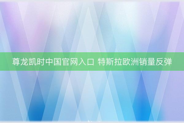 尊龙凯时中国官网入口 特斯拉欧洲销量反弹