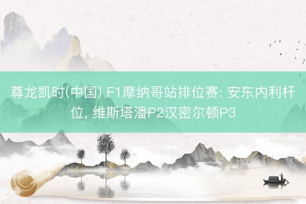 尊龙凯时(中国) F1摩纳哥站排位赛: 安东内利杆位， 维斯塔潘P2汉密尔顿P3