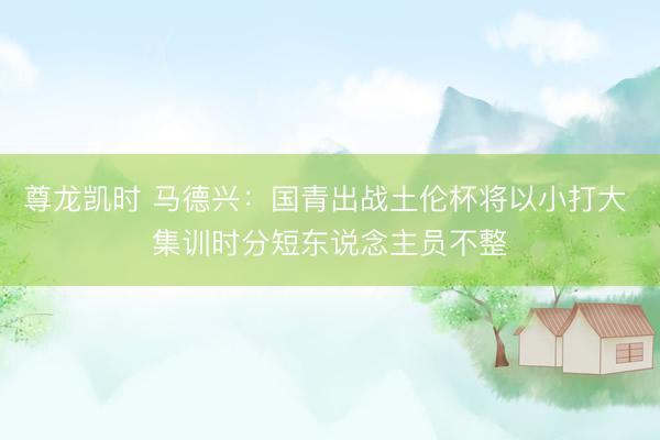 尊龙凯时 马德兴：国青出战土伦杯将以小打大 集训时分短东说念主员不整