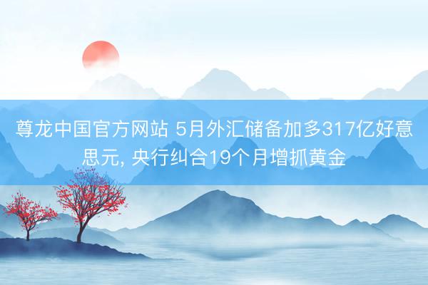 尊龙中国官方网站 5月外汇储备加多317亿好意思元， 央行纠合19个月增抓黄金