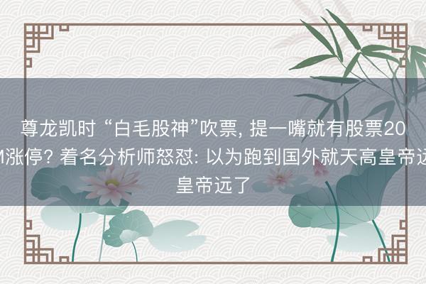 尊龙凯时 “白毛股神”吹票， 提一嘴就有股票20CM涨停? 着名分析师怒怼: 以为跑到国外就天高皇帝远了