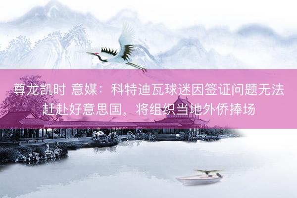 尊龙凯时 意媒:科特迪瓦球迷因签证问题无法赶赴好意思国,将组织当地外侨捧场