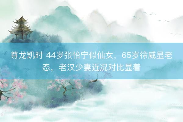 尊龙凯时 44岁张怡宁似仙女，65岁徐威显老态，老汉少妻近况对比显着
