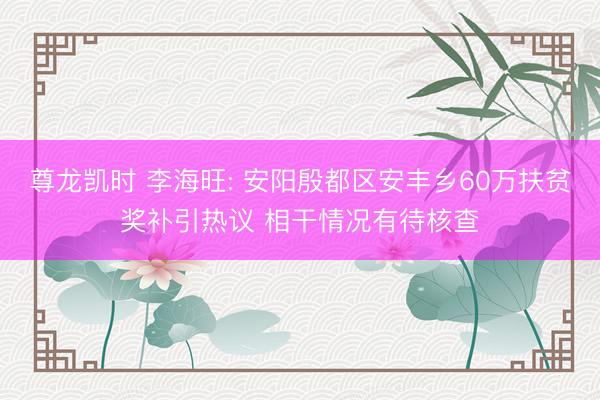 尊龙凯时 李海旺: 安阳殷都区安丰乡60万扶贫奖补引热议 相干情况有待核查