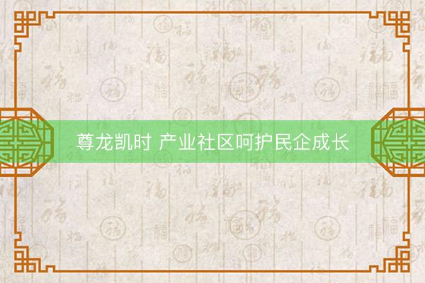 尊龙凯时 产业社区呵护民企成长
