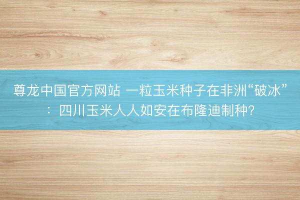 尊龙中国官方网站 一粒玉米种子在非洲“破冰”：四川玉米人人如安在布隆迪制种？