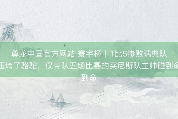 尊龙中国官方网站 寰宇杯｜1比5惨败瑞典队压垮了骆驼，仅带队五场比赛的突尼斯队主帅碰到命