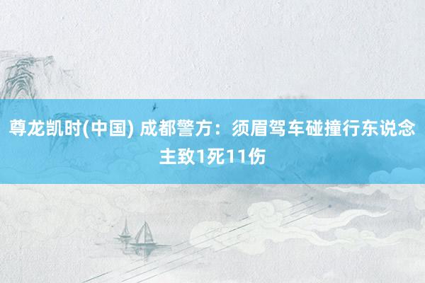 尊龙凯时(中国) 成都警方：须眉驾车碰撞行东说念主致1死11伤